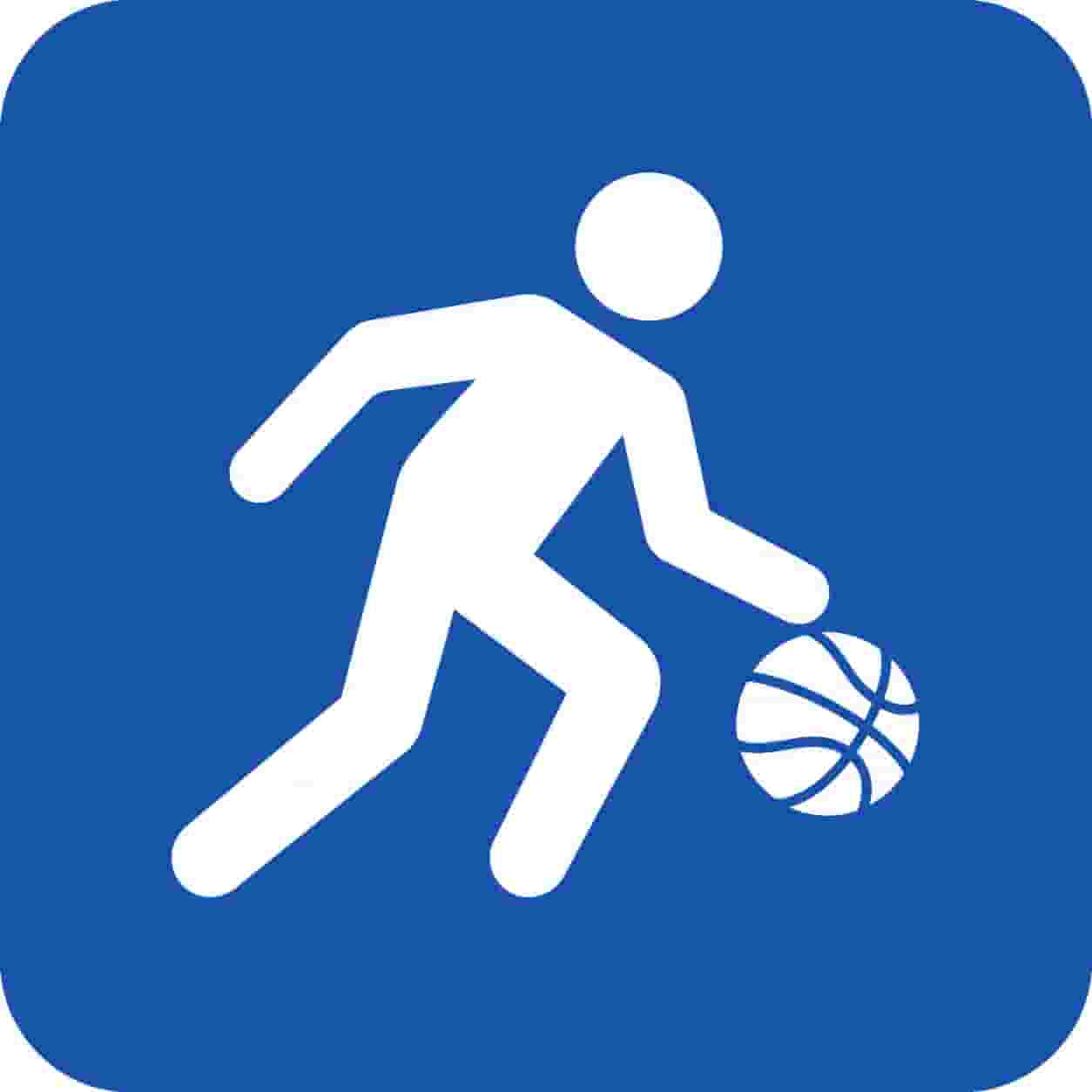 Pallacanestro